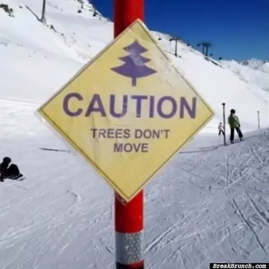 Tree don’t move sign