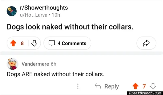 Dogs are naked