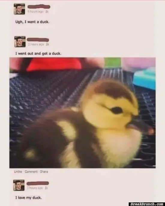 I want a duck too