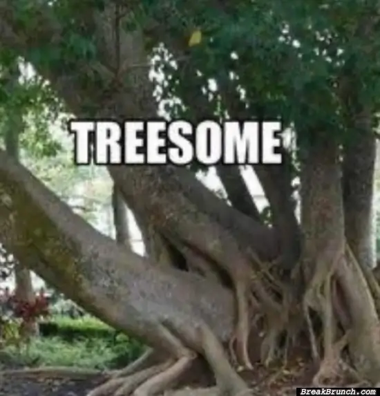 Just tree doing threesome