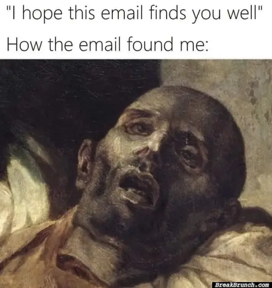 I hope this email finds you well