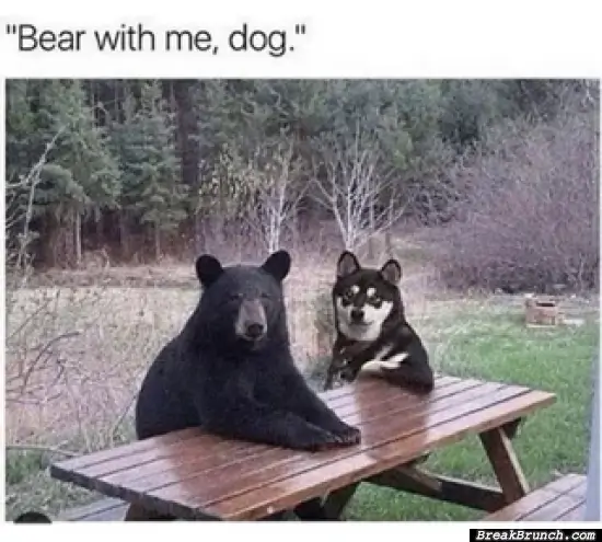Bear with me dog