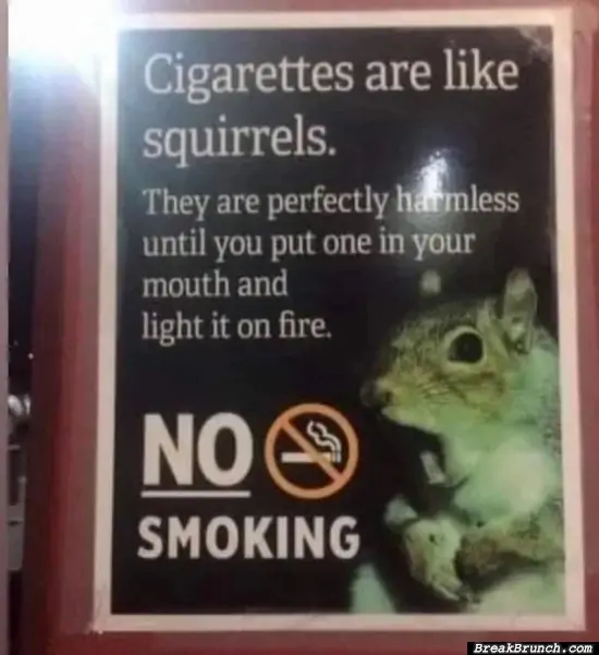 I don’t know if cigarettes are like squirrels
