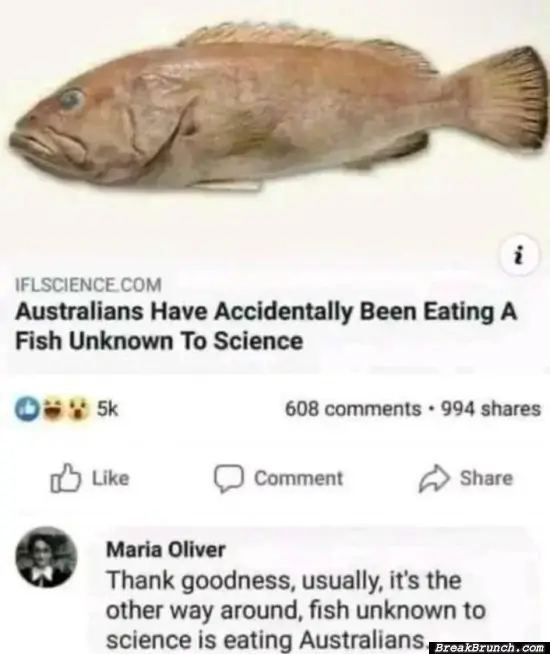 Australians eating unkown fish