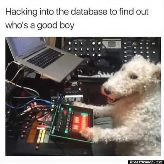 Who is a hacking good boy