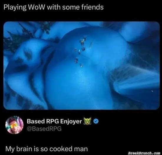 My brain is cooked from this WoW picture