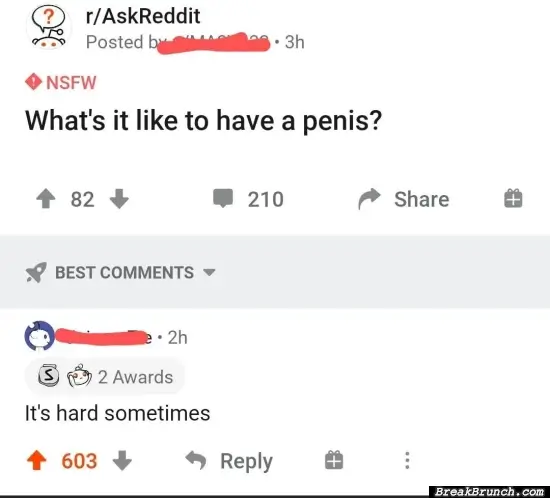 What is it like having a penis