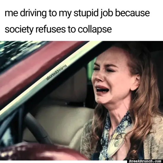 Why society no collapse