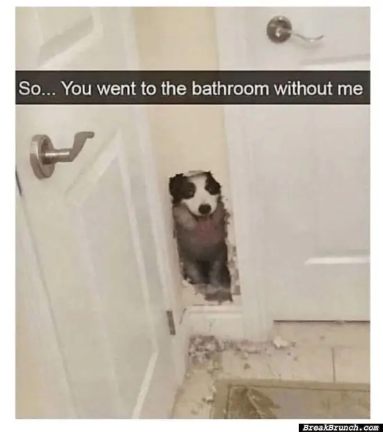 Why didn’t you take me to bathroom with you