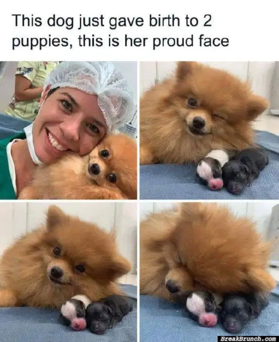 Proud dog mom