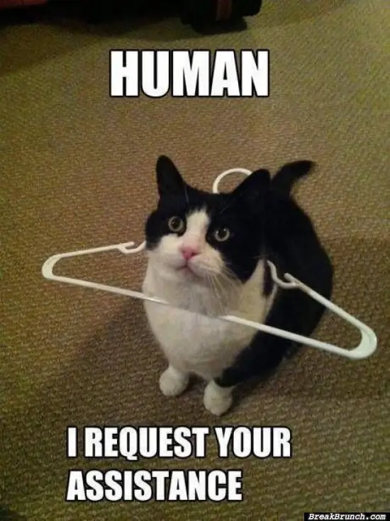 Help me human