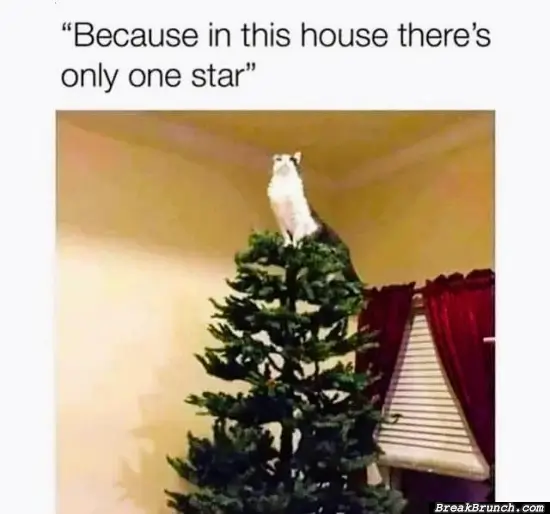 only one star on the house