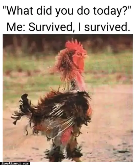 I survived today