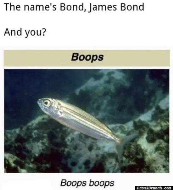 My name is boops boops