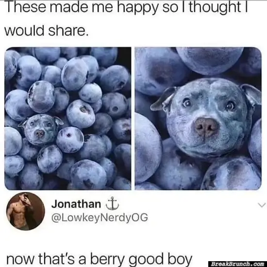 He is a berry good boy