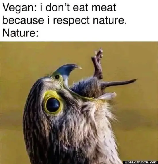 I respect the nature