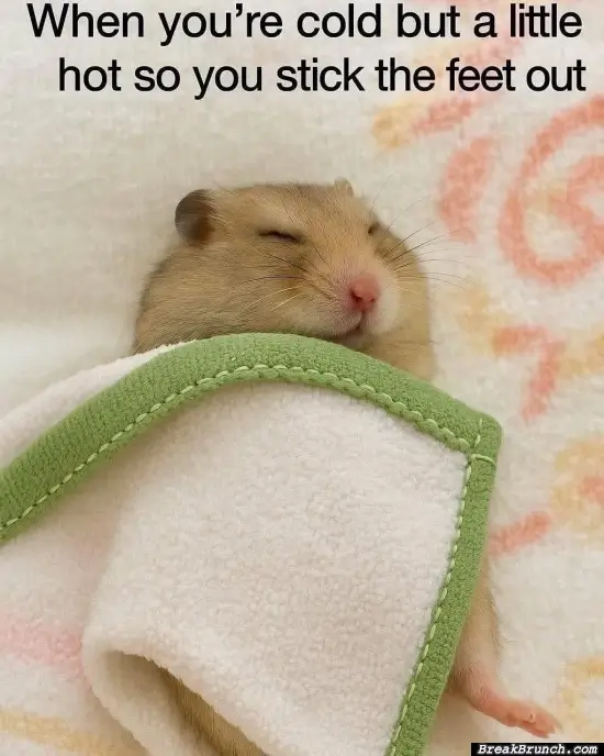 When you are cold but a little hot