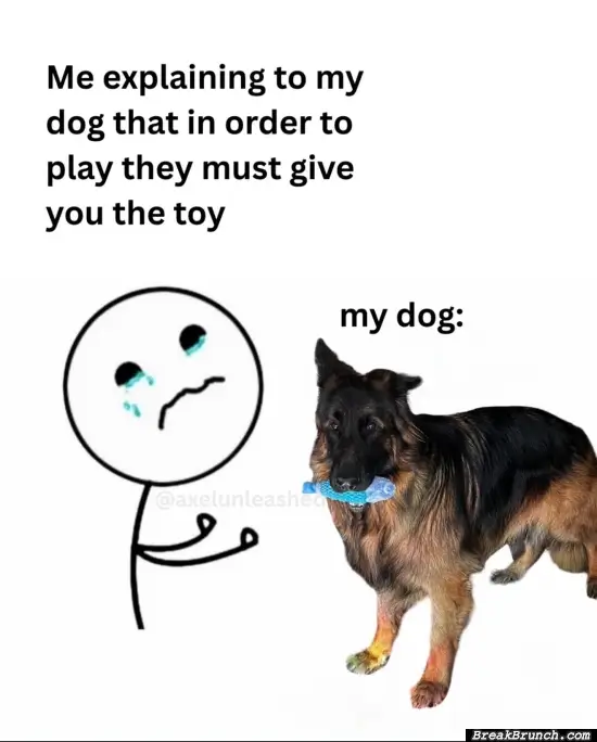 Its hard for dogs to understand