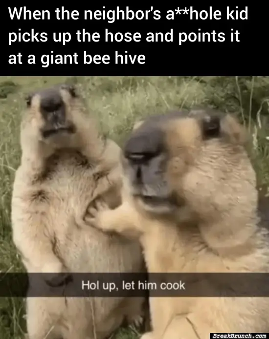 Let him cook bro