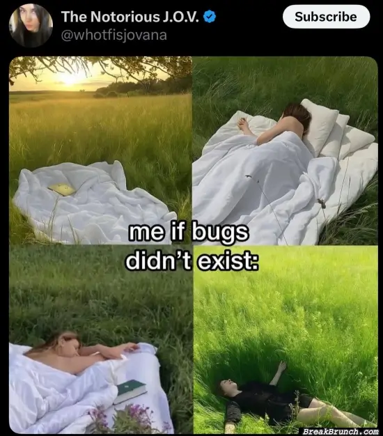 How I sleep if there is no bug