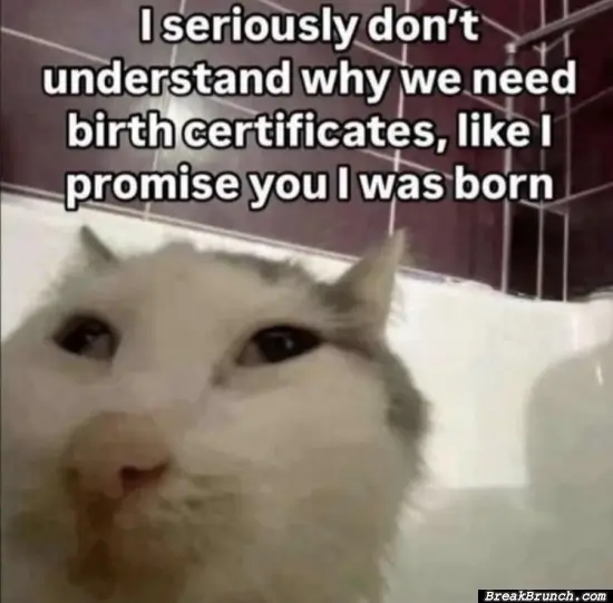 Why do we need birth certificates