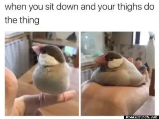 Don’t mind me