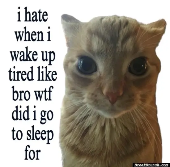 Why I am still tired after long sleep