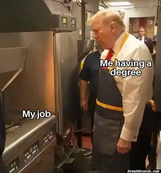 My degree and my job