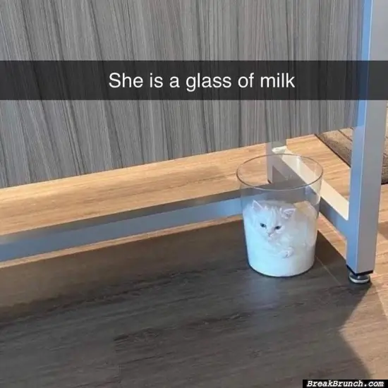 A glass of milk