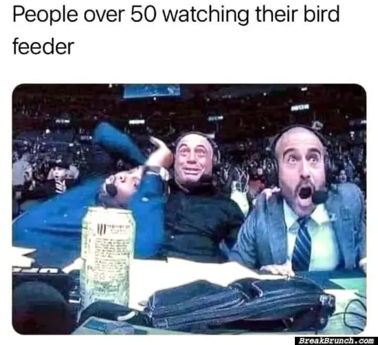 People watching their bird feeders
