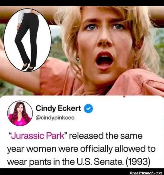 Women were allowed to wear pants in 1993
