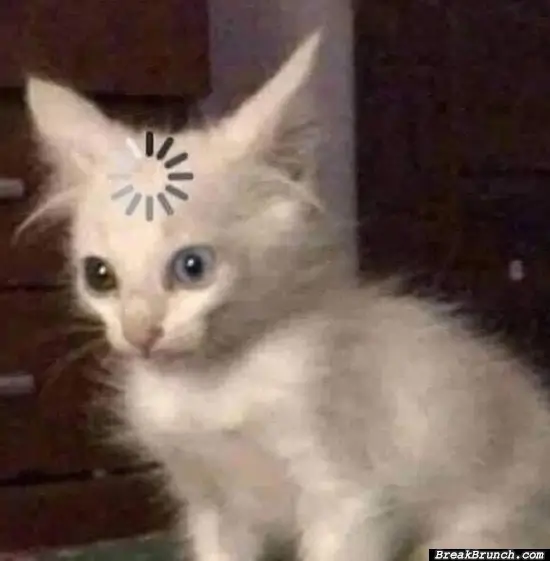 When you forgot what you are going to say