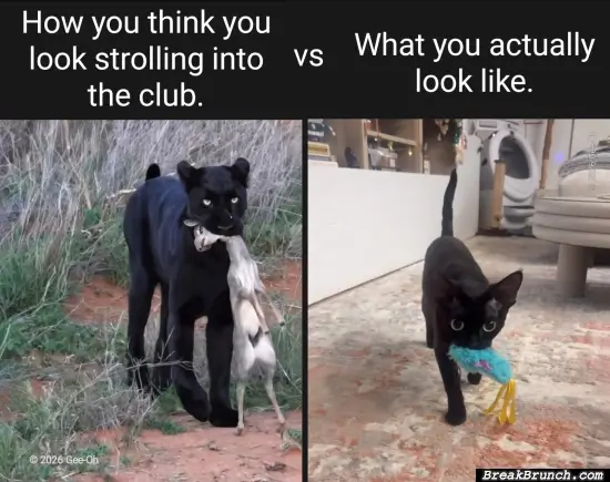 Strolling into the club