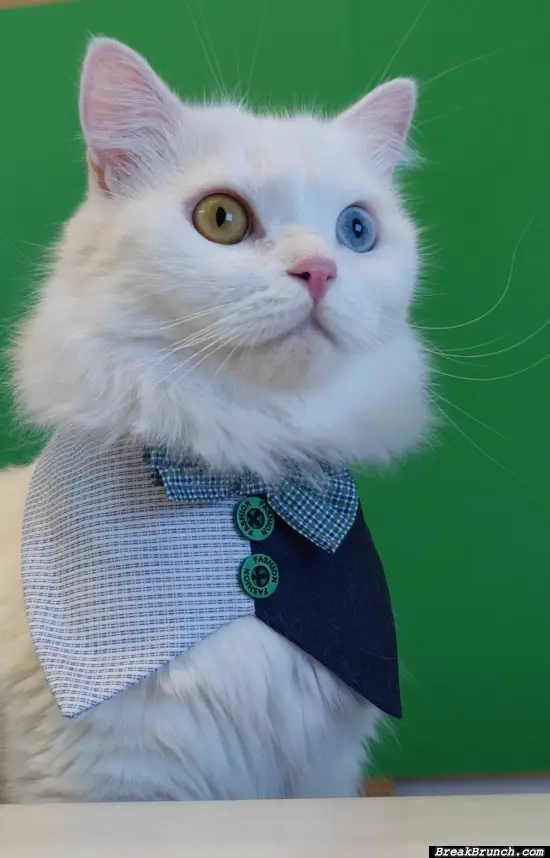 Hello sir, good day to you