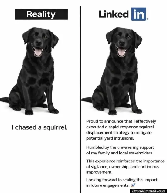 Reality vs LinkedIn