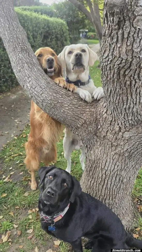 3 happy friends