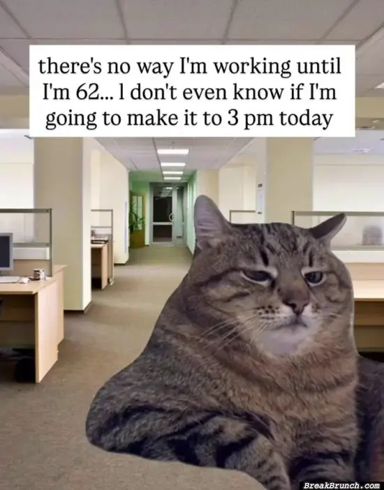 I am not working until 62