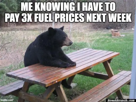 Fuel price is gonna 3X next week