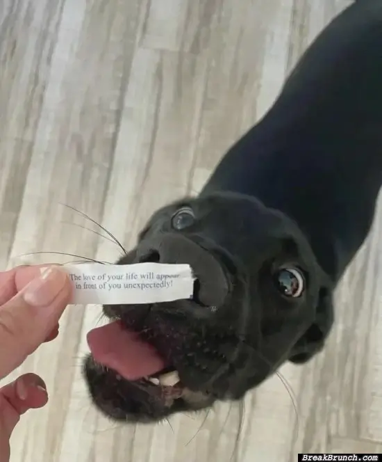 So he is the one for me