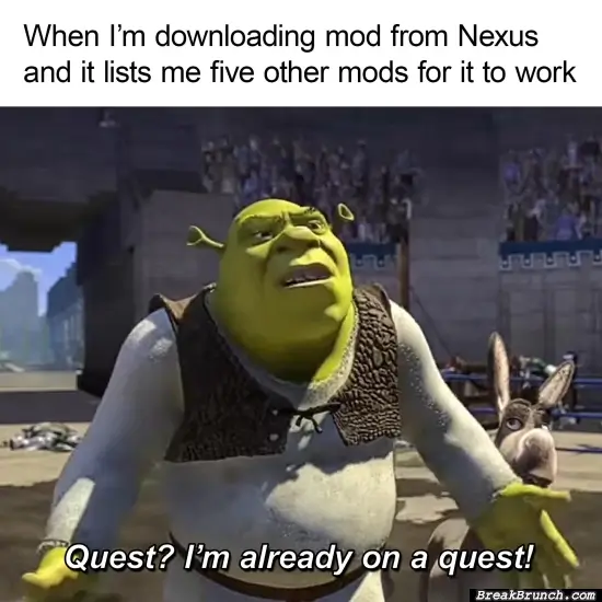 Whenever I am download mods from Nexus