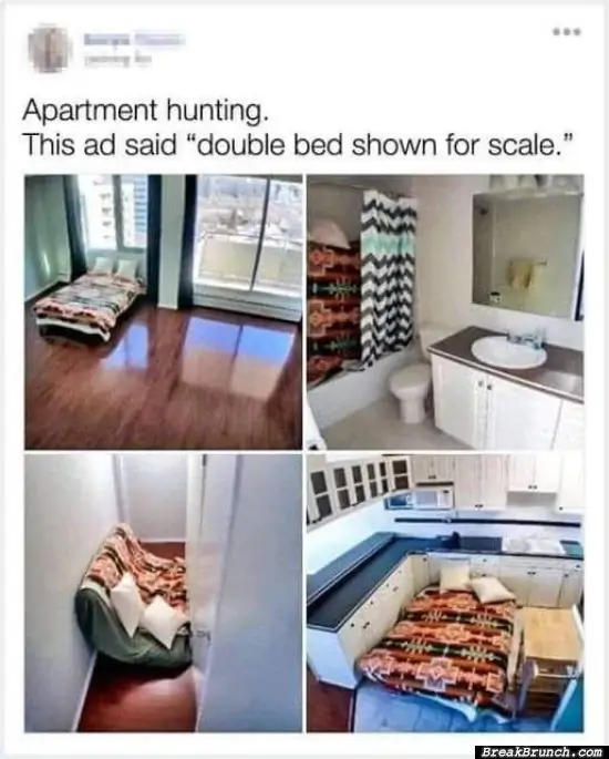 Apartment hunting is painful