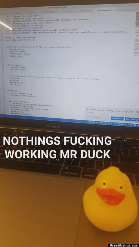 Why is nothing working duck