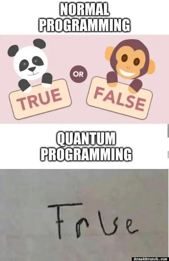 Normal programming vs quant programming