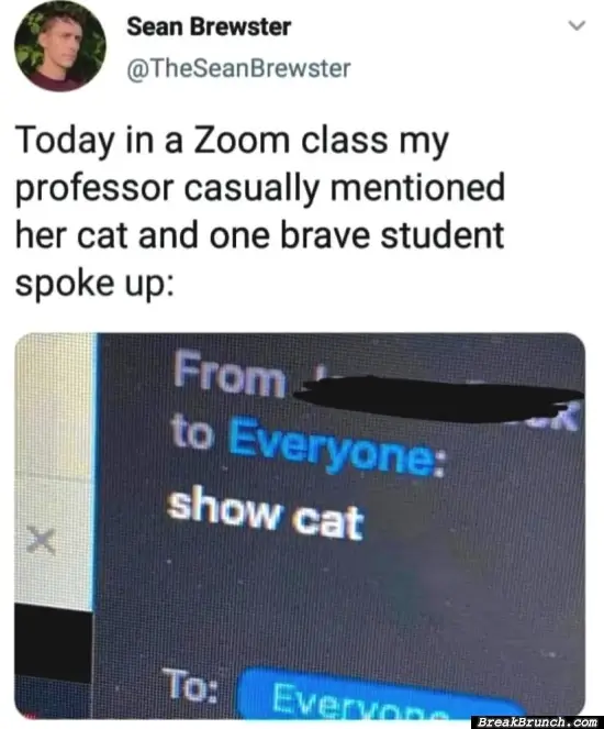 Me need to see the cat