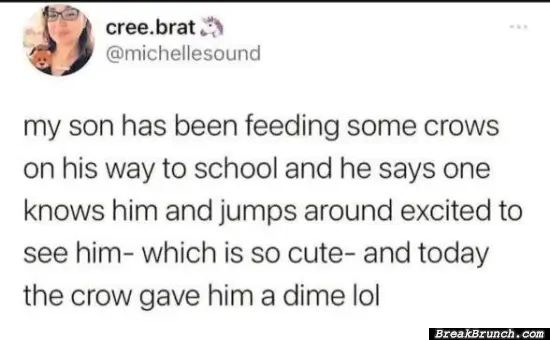 Crows will bring you gift