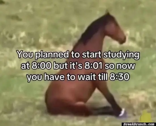And now it is 11:30