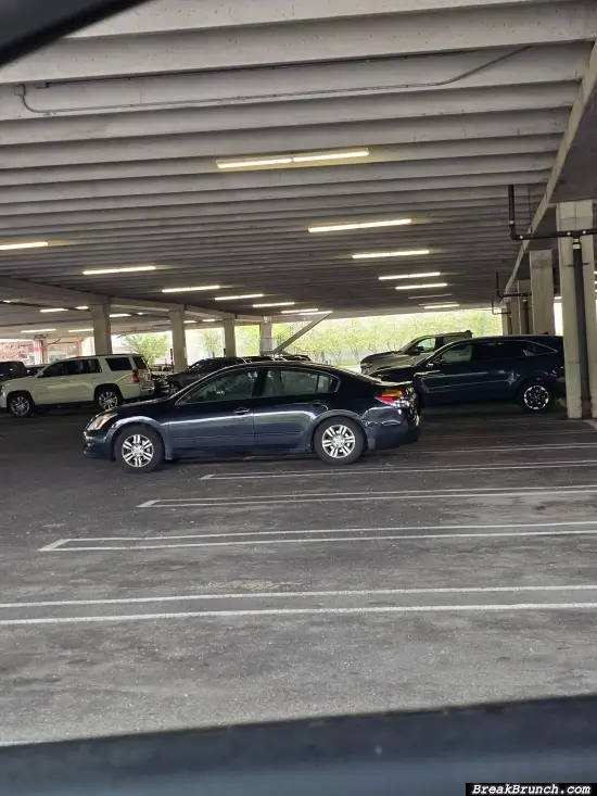 That one person parking his car