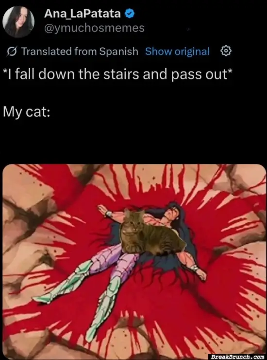 Just cat doing cat thing