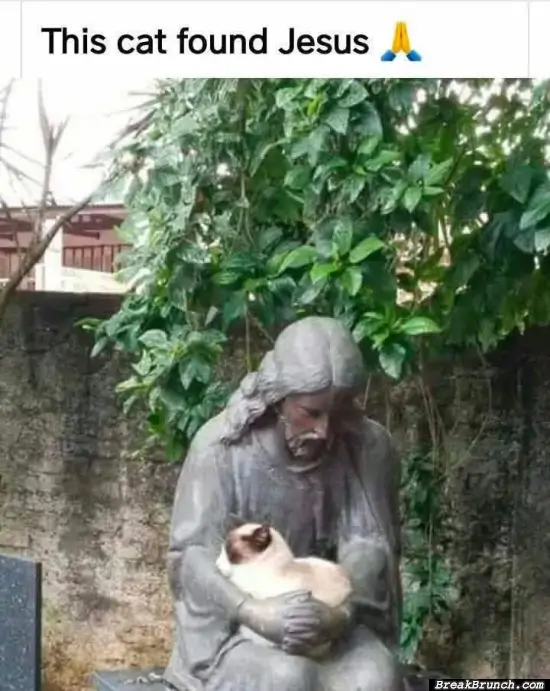 Cat found Jesus.