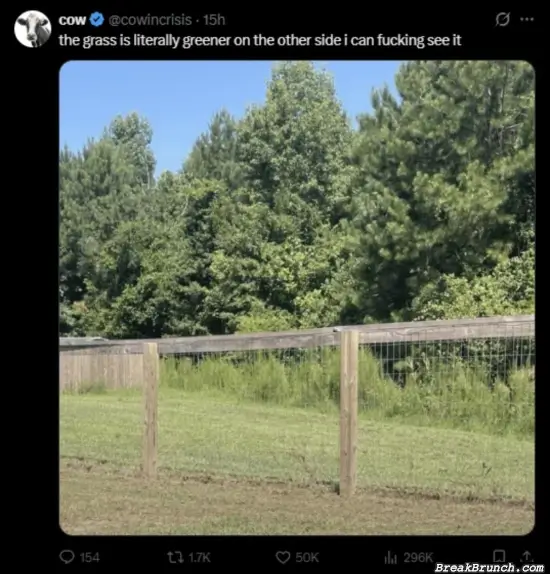 Grass is greener on the other side